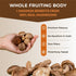 Sacred 7 Organic Mushroom Supplement, 100% Fruiting Body Extract Powder with Lions Mane, Reishi, Chaga & More