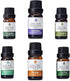 Pursonic Essential Oils Set - Top 6 Aromatherapy Blends Gift Set - 10ml Pure Oils for Diffusers, Home, & Bath