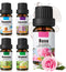 LingHaoLH Essential Oil