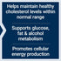 Life Extension Vitamin B3 Niacin 500 mg for Heart Health, Cellular Energy – Gluten-Free, Non-GMO, 100 Capsules