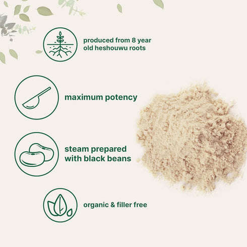 Organic He Shou Wu - Pure Fo Ti Extract Powder, 6 Ounce, Prepared Foti Steaming with Black Bean, Anti Aging Herb