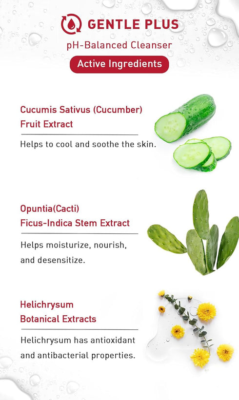 menorah skincare Gentle Cleansing Mousse, with Cacti, Cucumis, Hydration Soothing Facial Cleanser