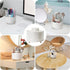 360 Rotating Makeup Brush Holder Organizer, 5 Slot Makeup Organizer for Vanity, White