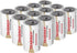 Tenergy 12 Pack D Alkaline LR20 Batteries, High Performance Non-Rechargeable for Electronics