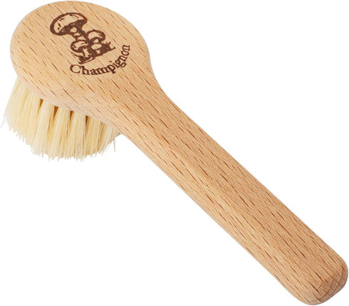 REDECKER Natural Pig Bristle Mushroom Brush Cleaner, Beechwood Handle, 5 inches, Made in Germany