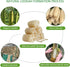 Natural Loofah Sponge, Organic Bath Loofah Pack, Exfoliating Body Scrubber for Women and Men, 6 Pack Shower Loofas