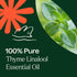 Plant Therapy Thyme Linalool Essential Oil, 10 mL (1/3 oz), 100% Pure, Undiluted, Therapeutic Grade