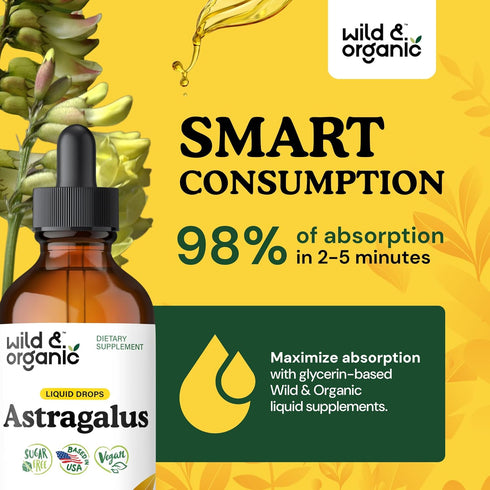 Immune 4 oz Wild & Organic Astragalus Root Extract Drops - Support - Liquid Astragalus Supplement - Add to Tea & Mix
