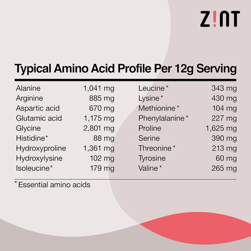 Zint Collagen Peptides Protein Powder, Natural Collagen Booster, Joint Supplements for Men & Women, 10 oz