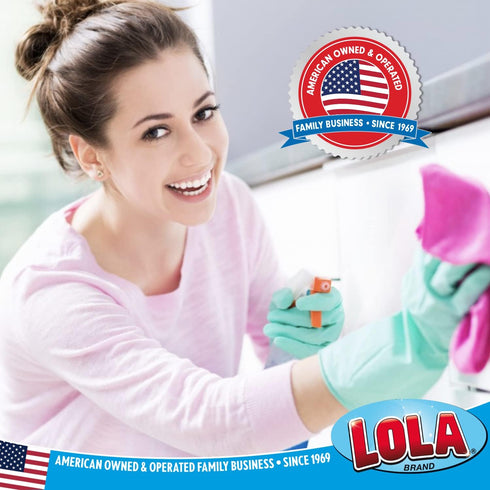 LOLA Nylon Net & Sponge Cleaning Pad, Non-Scratch Scrubbing Pads, 2 Pack Safe on Non-Stick Surfaces