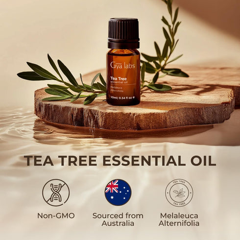 Set Set 2x0.34 oz Roman Chamomile Essential Oil for Diffuser & Tea Tree Oil for Skin - Aromatherapy Grade Essential