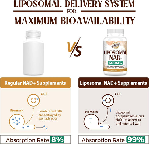 Liposomal NAD+ 500 MG Supplement, True NAD Plus for Cellular Energy, Superior Absorption, Healthy Aging, 120 Serving