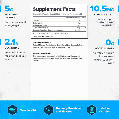 LEGION Post Workout Drink - Micronized Creatine Monohydrate Natural Recovery Drink, Muscle Builder, Strawberry Lemonade