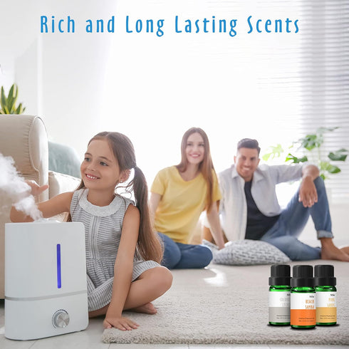 Beach Fragrance Oil, MitFlor Premium Scented Oils for Diffuser, Summer Aromatherapy Essential Oils Set