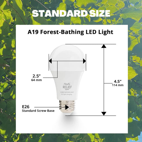 NorbRELIEF Leaf - Soft Green Forest Bathing LED Light Bulb for Meditation, Migraine, Pain Relief, A19 Standard Base