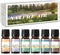 Nature Air Premium Grade Scented Oils Gift Set - Sea Breeze, Forest