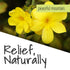 Peaceful Mountain Back, Neck and Sciatic Rescue, 2oz for Discomfort Relief