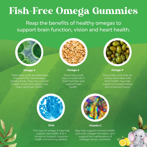 Plant Based Omega 3 Gummies for Kids - Delicious DHA Gummies for Vision, Immunity & Focus - Vegetarian, 60 Servings