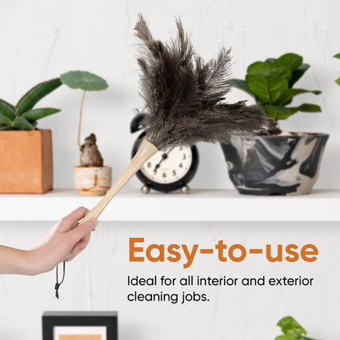 Superio Ostrich Feather Duster: Fluffy Dust Remover with Wooden Handle, Reusable for Home Cleaning