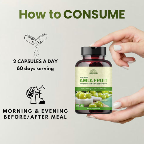 Amla Capsules (Phyllanthus Emblica) – 120 Capsules of Amalaki Amla | Natural Antioxidants Superfood Herbal Supplement