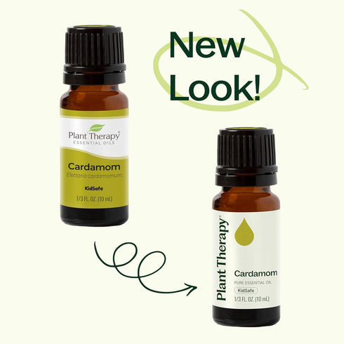 Plant Therapy Cardamom Essential Oil – 5 mL (1/6 oz) 100% Pure, Undiluted, Therapeutic Grade