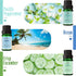 Summer 12 Midsummer Sets Fragrance Oils, MitFlor Bottles Premium Scented Oils for Diffuser, Fruits, Soap, Candle