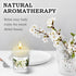 Set 6 Pack Scented Candles Gifts for Women and Men, Soy Wax Aromatherapy Candles Jar Candle for Birthday, Thanksgiving
