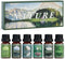 SALUBRITO Essential Oils Set - Nature Fragrance Oils Set for Diffuser, Candle, Soap Making - Forest Pine, Ocean Breeze
