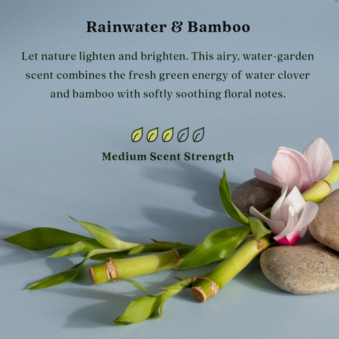 Enviroscent Non-Toxic Air Freshener Refills, Rainwater & Bamboo, Essential Oil Plug-In for Home Fragrance
