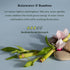 Enviroscent Non-Toxic Air Freshener Refills, Rainwater & Bamboo, Essential Oil Plug-In for Home Fragrance