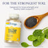 SOLARAY Calcium & Magnesium Citrate 2:1 Ratio w/Vitamin D-3, Healthy Bones, Muscle & Nervous System Support, 180