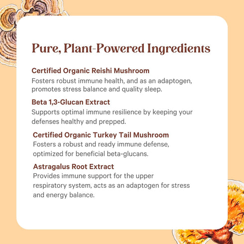 PURE SYNERGY Immune Health Mushroom Supplement, Astragalus and Beta-Glucan Extracts, 60 Capsules