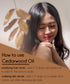 Cedarwood Himalayan Essential Oil, 8 fl oz (237 ml) Aluminum Bottle w/Plug Cap - 100% Pure - GreenHealth