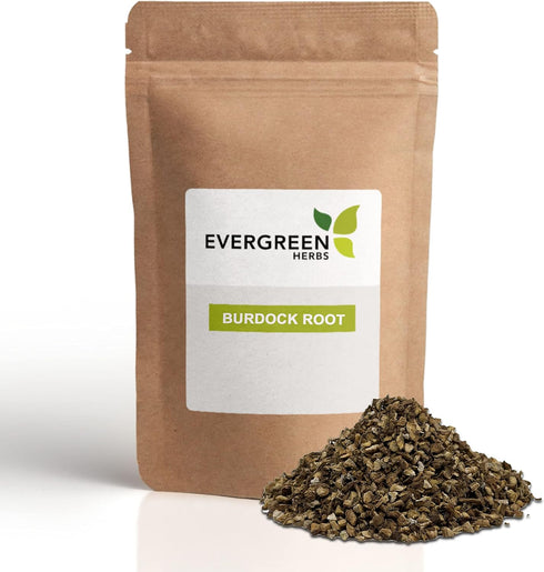Burdock Root Cut & Sifted 8 oz. (227 grams), Wildcrafted Arctium lappa, Resealable Bag for Freshness