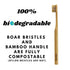Gaia Guy Natural Bristle Bamboo Toothbrush 6-Pack, Compostable & Biodegradable Boar Bristle and Bamboo