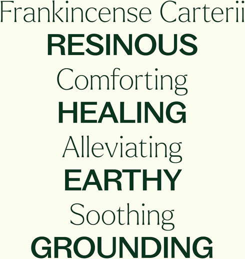 Plant Therapy Frankincense Carterii Essential Oil, 100% Pure, Pre-Diluted Roll-On, Therapeutic Grade, 10 mL (1/3 oz)