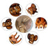 YOHAMA 36 PCS Brown Mini Hair Claw Clips for Kids and Adult Hairstyles, Strong Grip Multifunction Clamp Clips