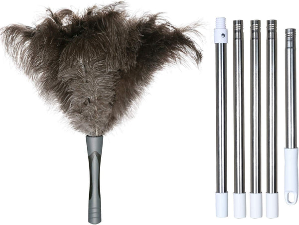 Gray Ostrich Feather Duster, 71 Inch Extendable Pole for Home Cleaning