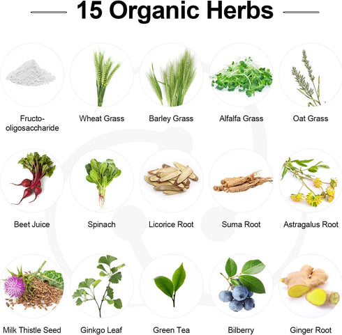 Probiotics for Women and Men, 300 Billion CFU, 24 Strains, 15 Organic Herbs, 2 Month Supply for Digestive Health