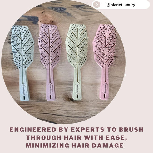 Eco-Friendly Hair Brush with Extra Soft Bristles, Vented Detangler for Wet and Dry Hair, Sky Color