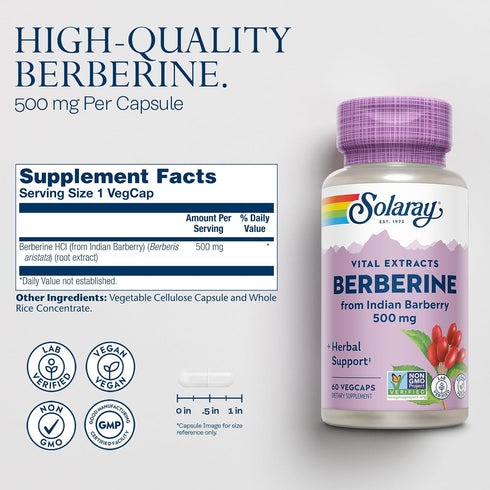 SOLARAY Berberine 500mg Supplement for Healthy Lifestyle - Vegan, Non-GMO, 60-Day Guarantee, 60 VegCaps