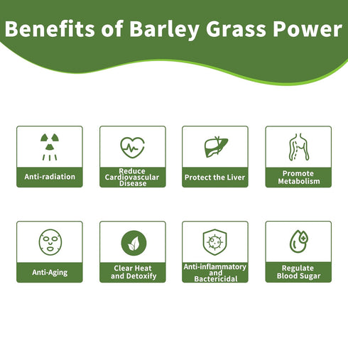 Hudetex Sugar-Free8 oz Barley Grass Juice Powder Rich in Chlorophyll & Natural Nutrients, Barley Grass Powder
