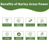 Hudetex Sugar-Free8 oz Barley Grass Juice Powder Rich in Chlorophyll & Natural Nutrients, Barley Grass Powder