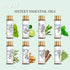 Set 100% 16 Pack 10ML Essential Oils with Independent Dropper, Natural Plant-Based, Therapeutic Grade for Family Use