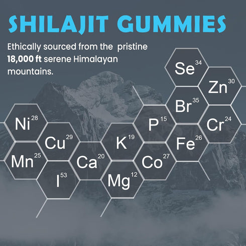84,000 MG Shilajit Gummies, 60 Count, Organic Shilajit with 85+ Trace Minerals for Energy, Sugar-Free
