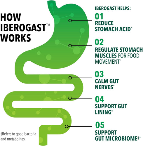 Iberogast Dual Action Digestive Relief, Daily Herbal Supplement, Supports Gut Health* Helps: Relieve Occasional Upset Stomach (bloating relief, nausea, heartburn, gas)+Restore Digestive Function* 50ml