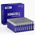 100 Pack AAA Batteries, High-Performance 1.5 Volt Alkaline, Leakproof, 10-Year Shelf Life for Household Devices