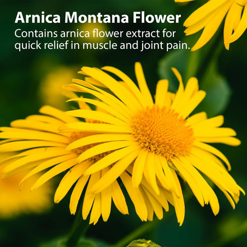Sanar Naturals Arnica Roll On, 3 oz, Quick Pain Relief for Joint, Muscle Pain, Soreness, Non-Greasy