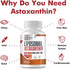 Liposomal Astaxanthin Supplement 24 MG, Maximum Absorption, Antioxidant Stronger Than VIT C, Non-GMO & Gluten Free - 60