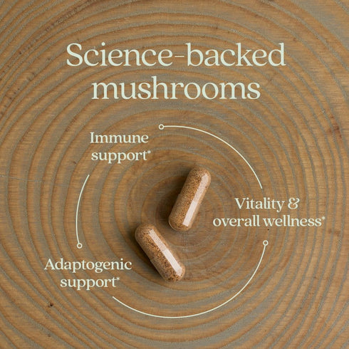 Immune 60 New Chapter Support Reishi & Shiitake Mushroom Blend with Organic Reishi Mushroom, Vegan + Non-GMO, Nootropic